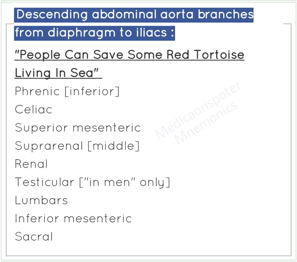Branches of Descending Abdominal Aorta to Iliac
