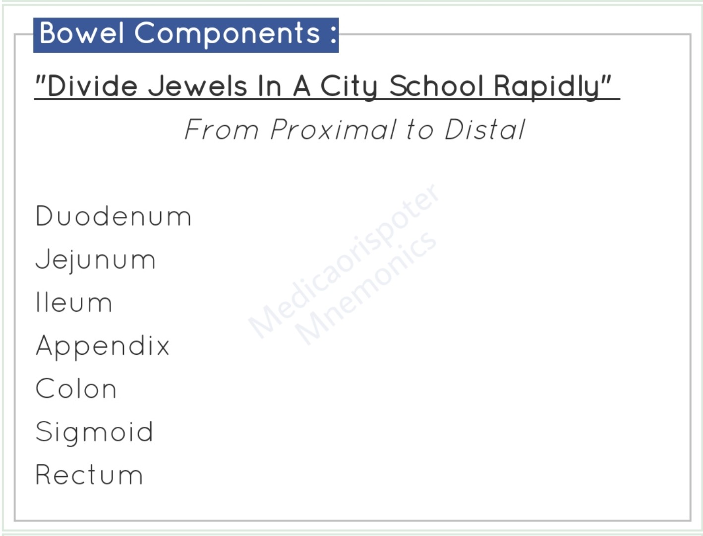 Components of Bowel