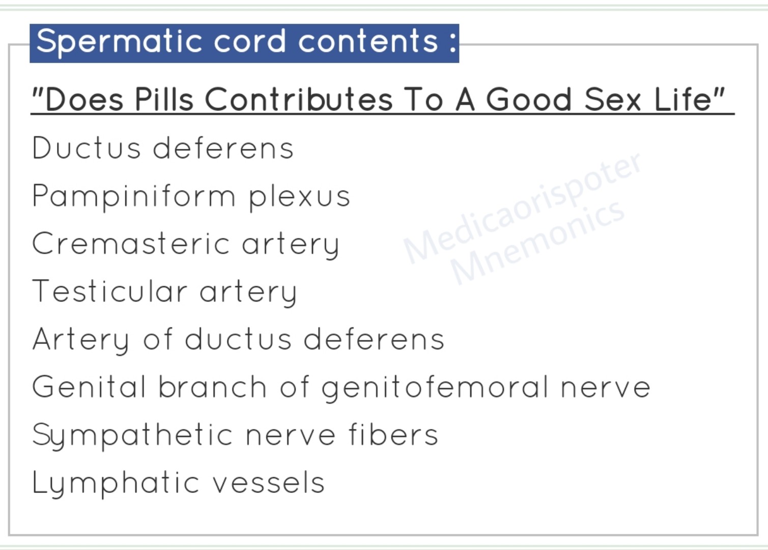Contents of Spermatic Cord