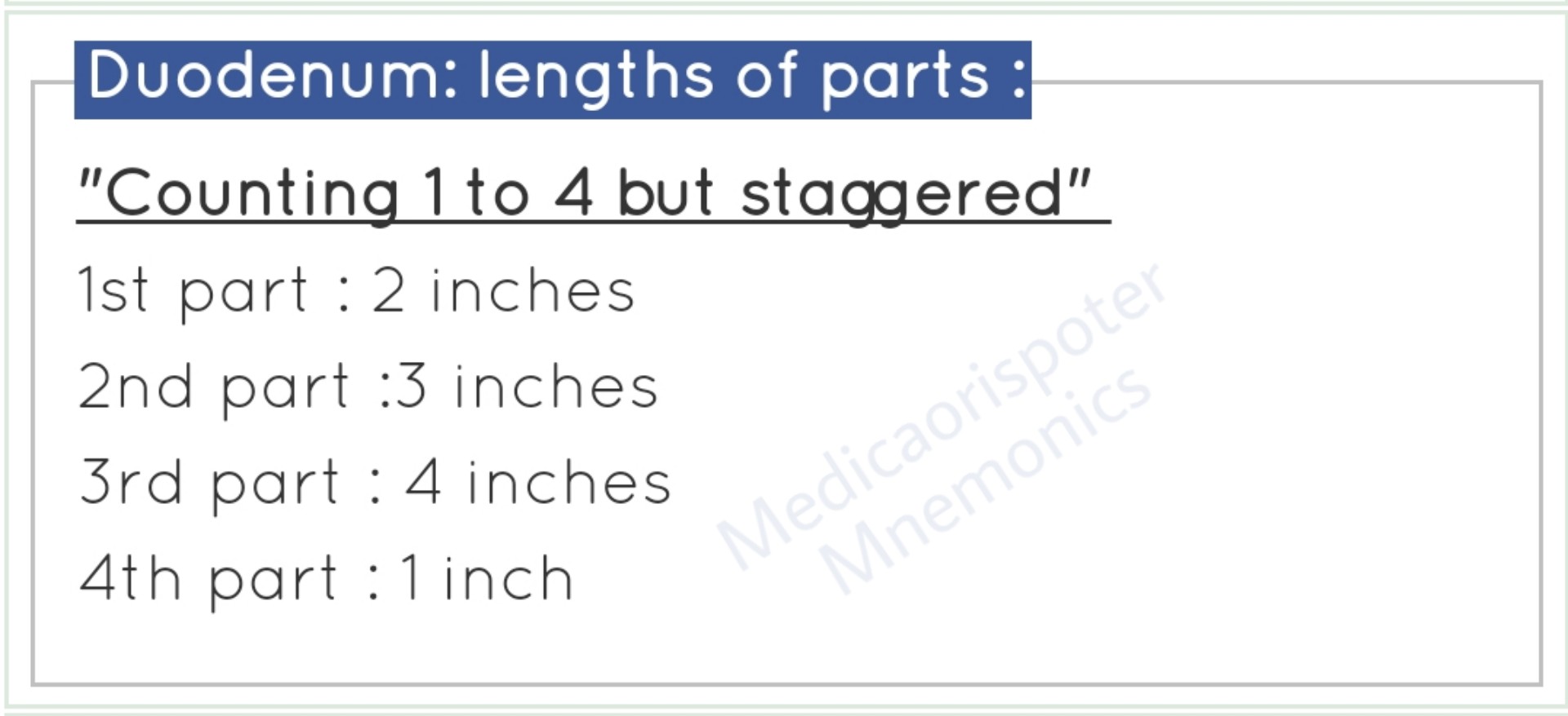 Lengths of Parts of Duodenum