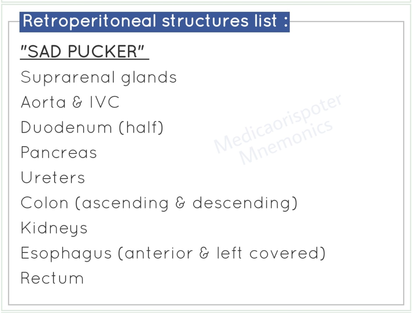 Rectroperitoneal Structures