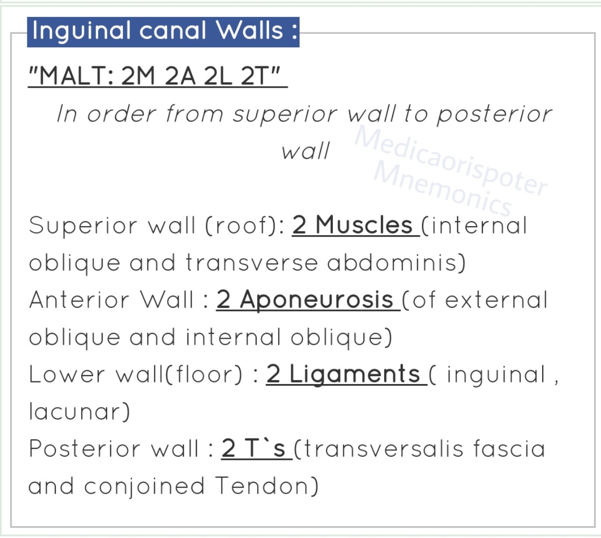 Walls of Inguinal Canal