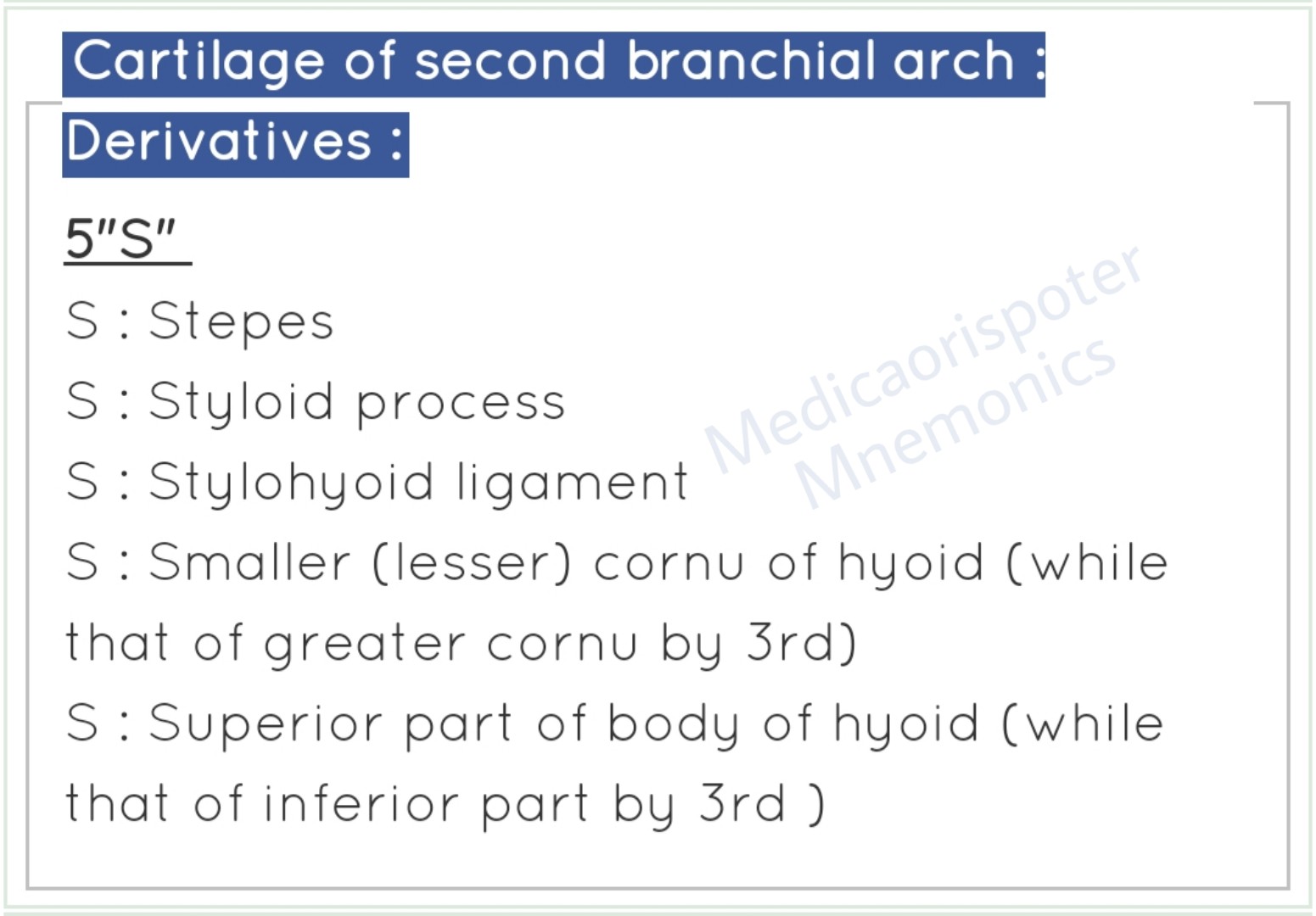 Cartilage Derivatives of  Second Pharyngeal Arch