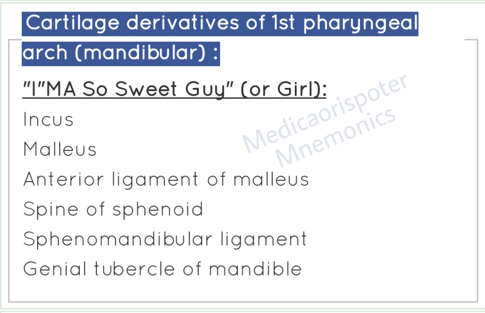 Cartilage Derivatives of The First Pharyngeal Arch