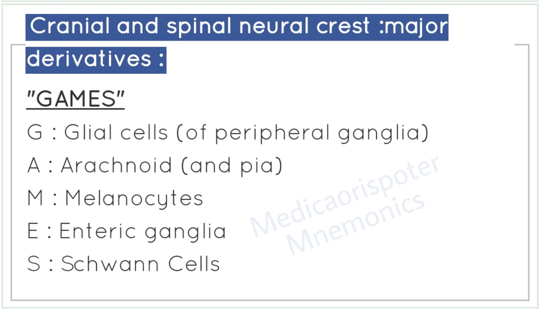 Derivatives of Cranial  Spinal Neural Crest