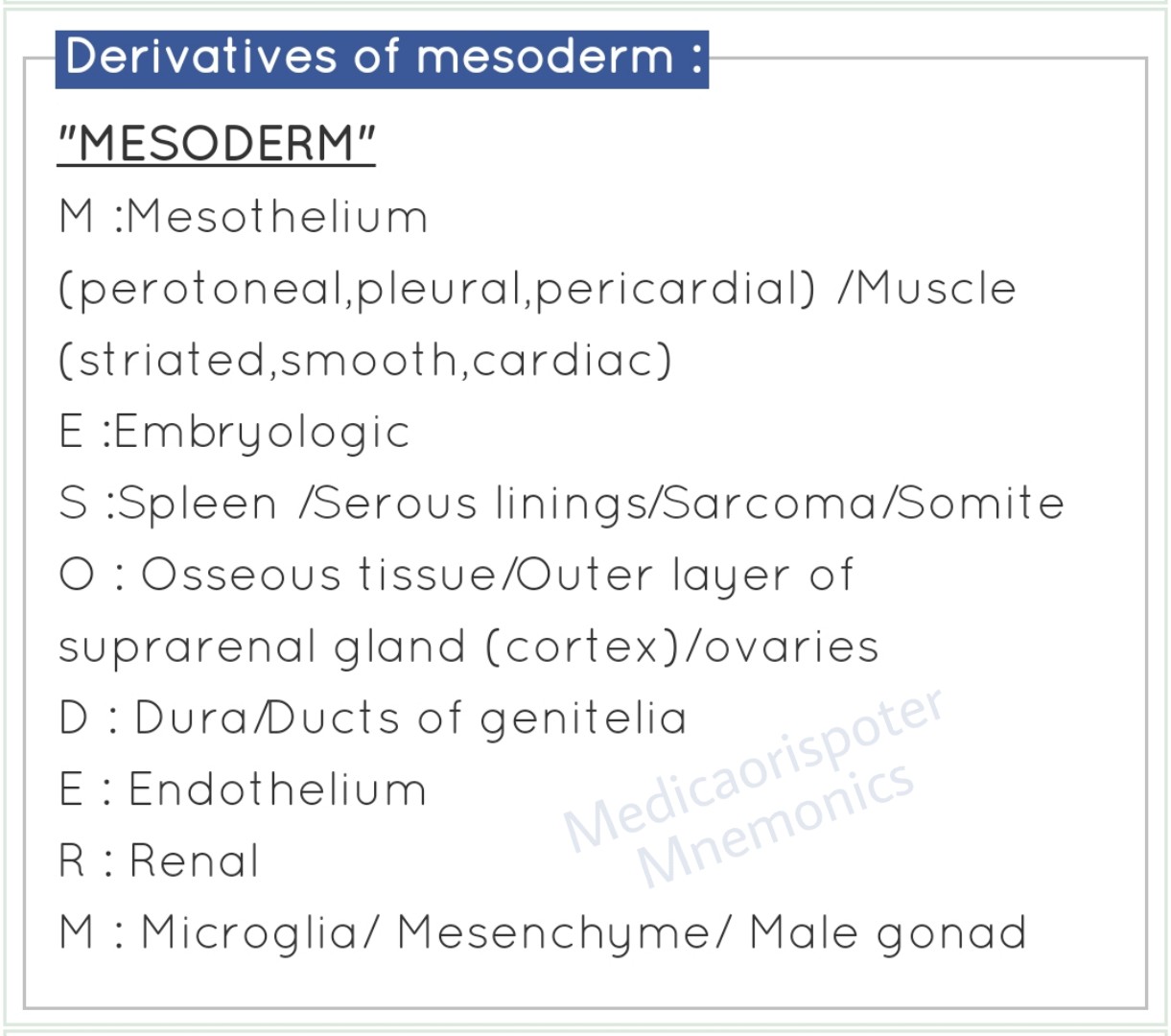 Derivatives of Mesoderm