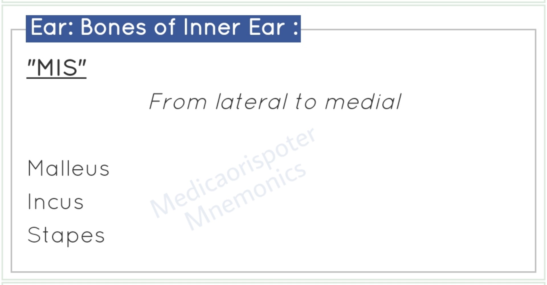 Bones_of_the_Inner_Ear
