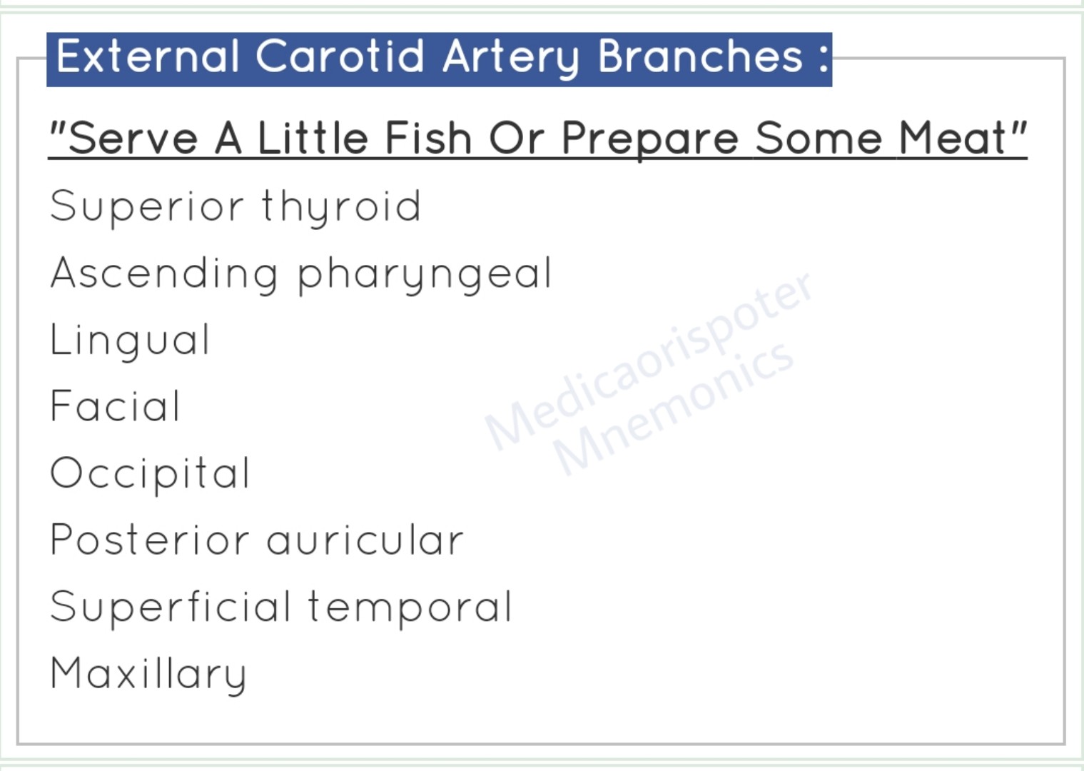 Branches_of_External_Carotid_Artery