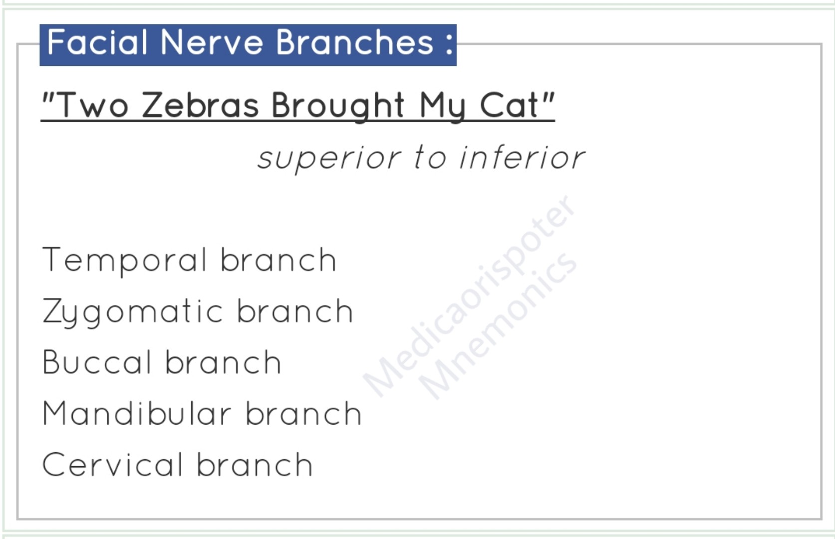 Branches_of_Facial_Nerve