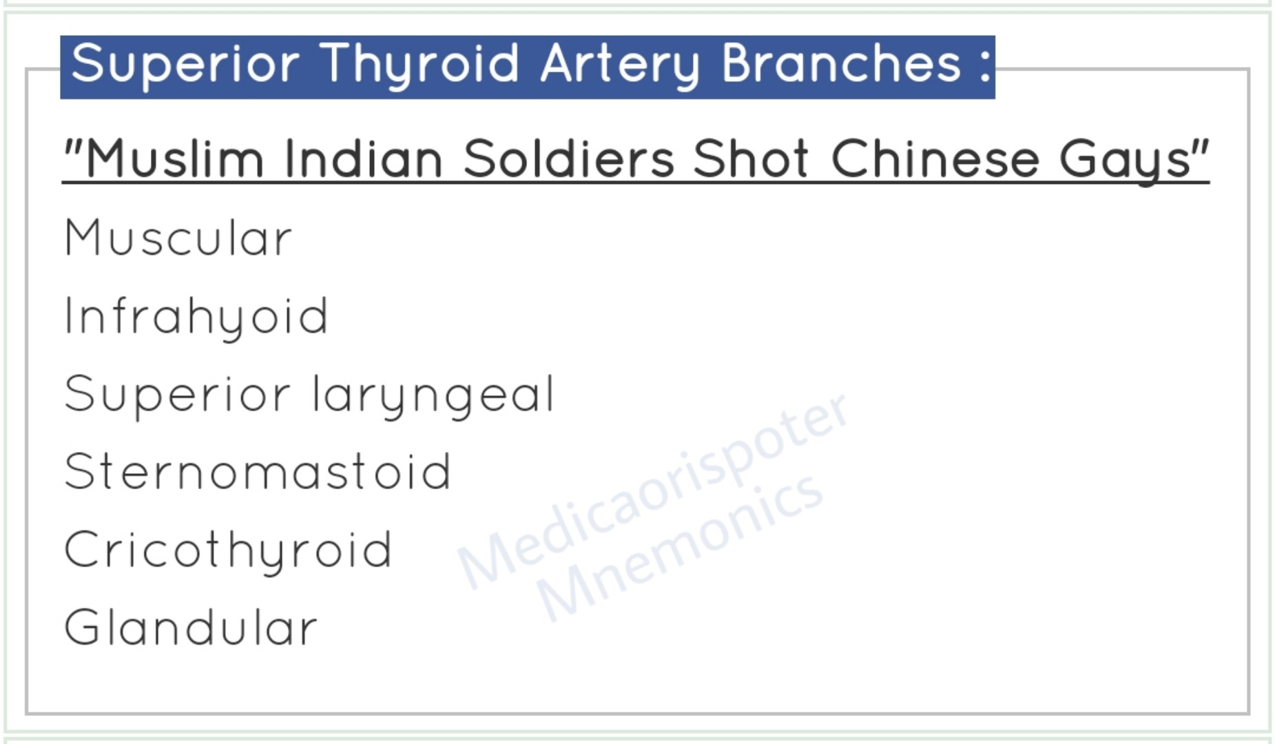 Branches_of_Superior_Thyroid_Artery