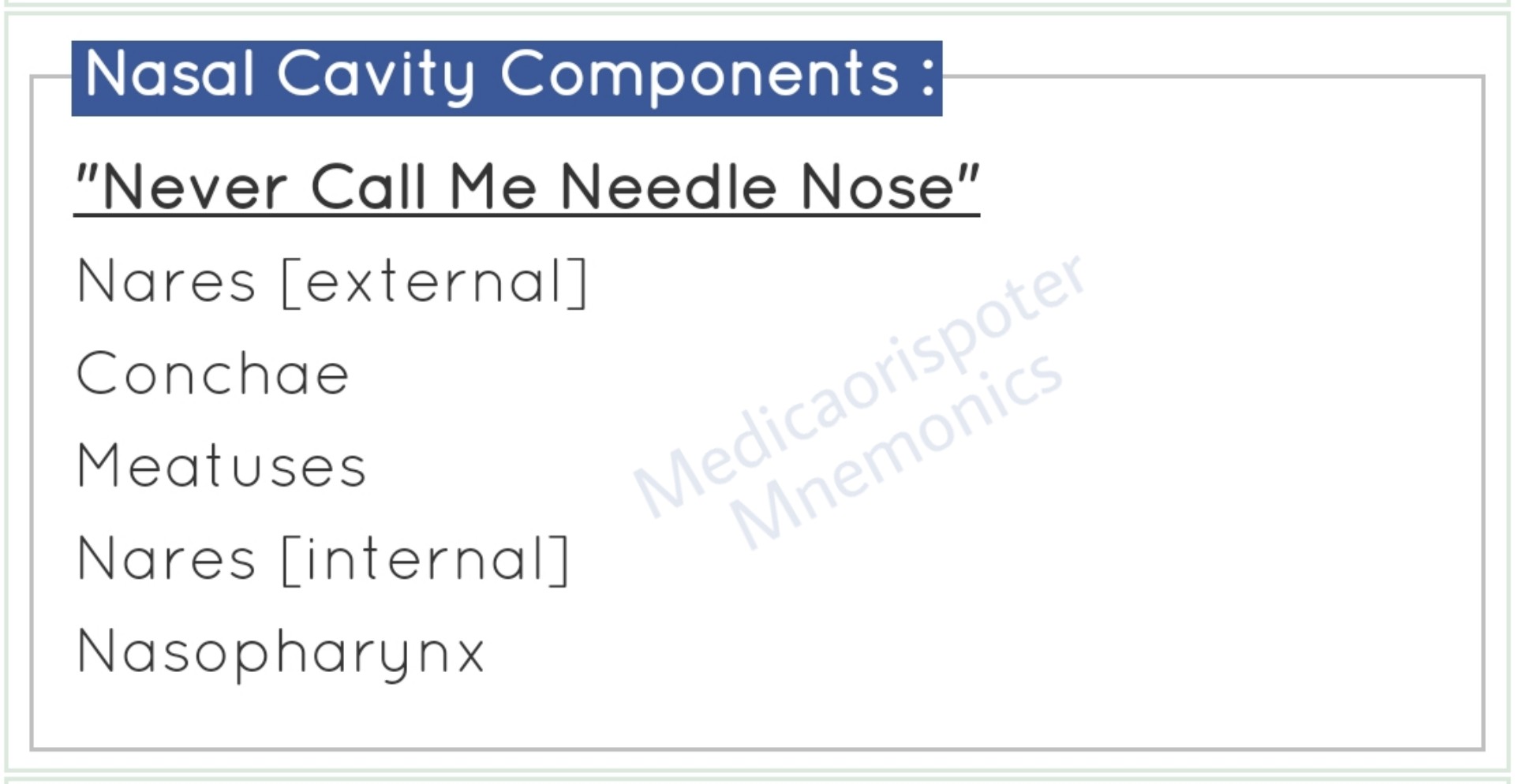 Components_of_Nasal_Cavity