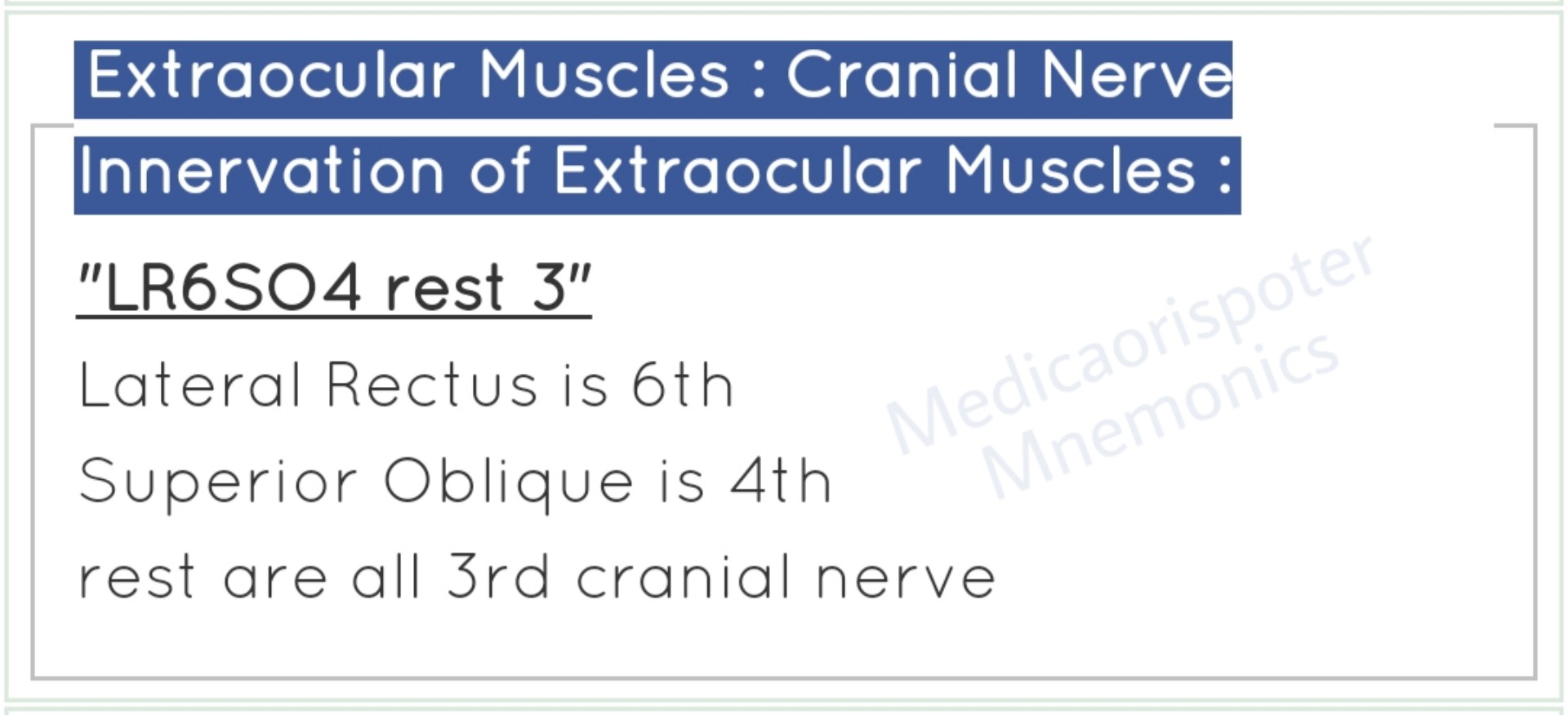 Cranial_Nerves_innervating_Extraocular_Muscles
