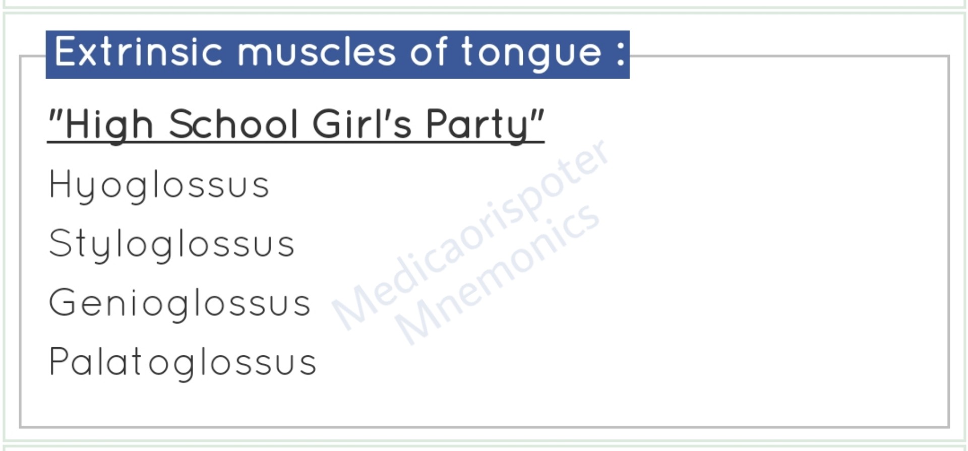 Extrinsic_Muscles_of_the_Tongue