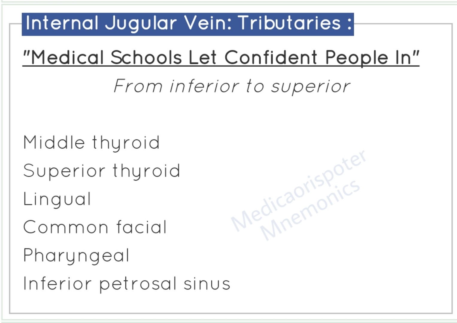 Internal_Jugular_Vein_Tributaries