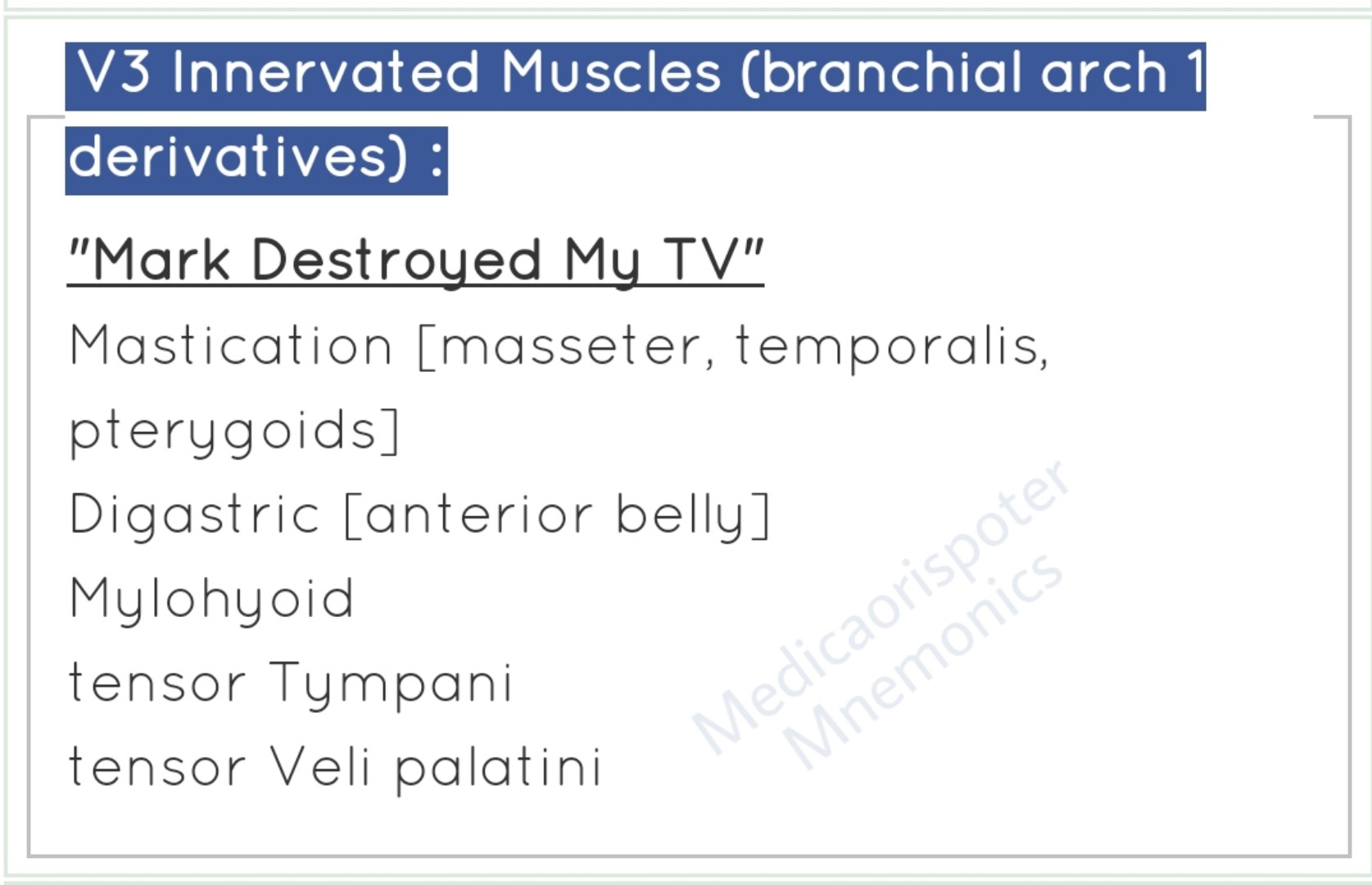 preview of Muscles Innervated by V3 Trigeminal Nerve.jpg