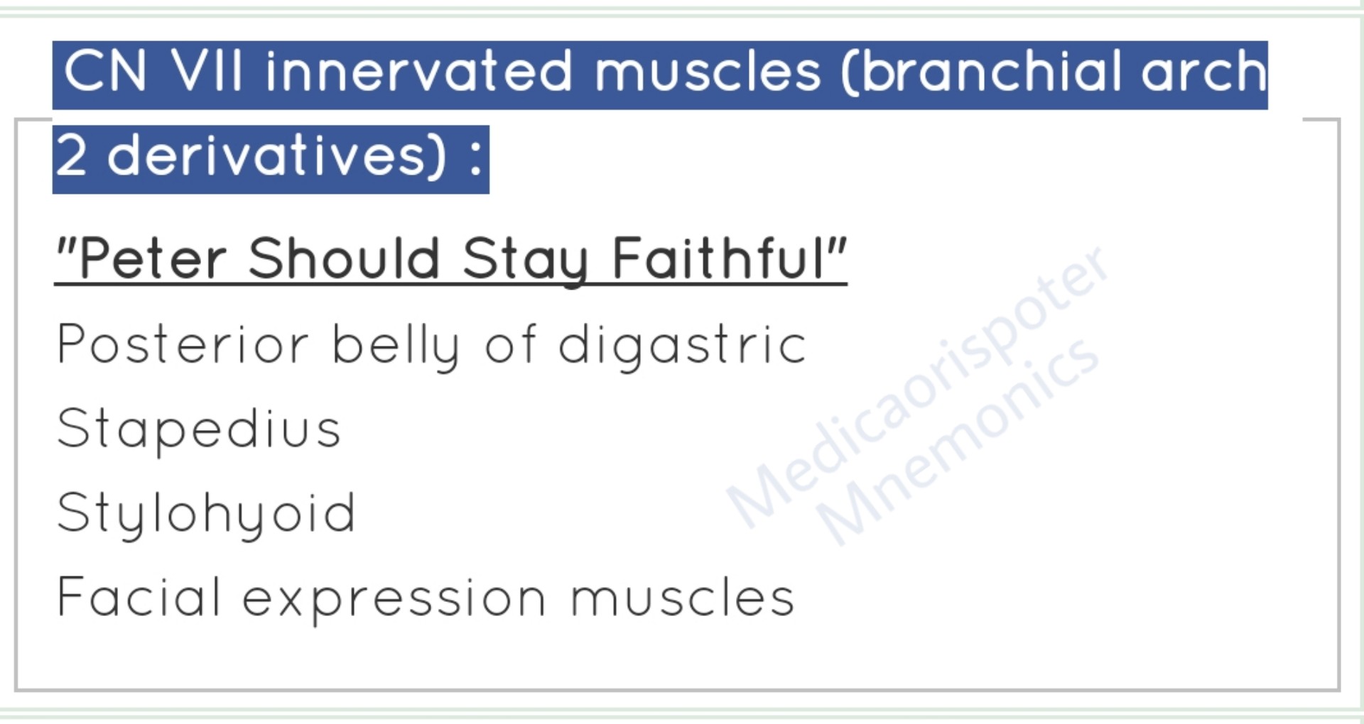Muscles_innervated_by_Facial_Nerve