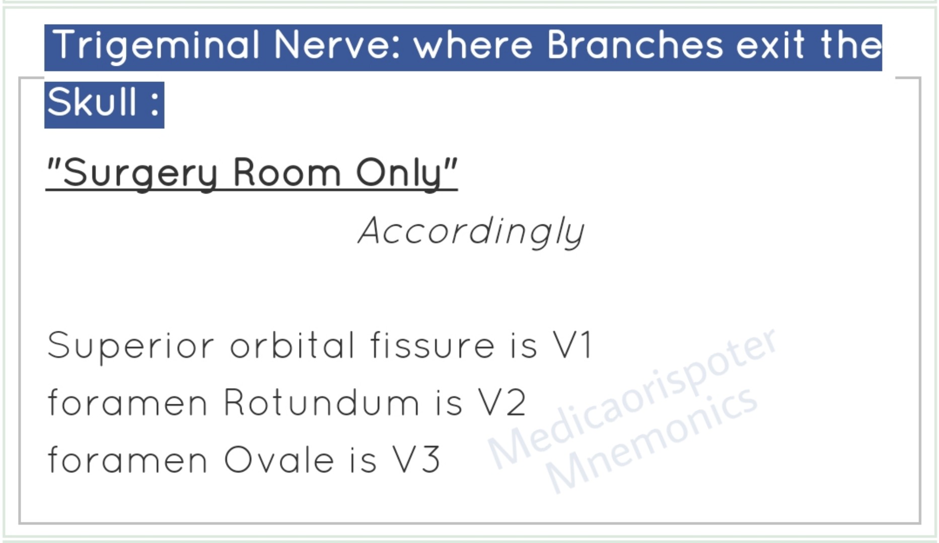 preview of Trigeminal nerve Branches Exit Skull.jpg