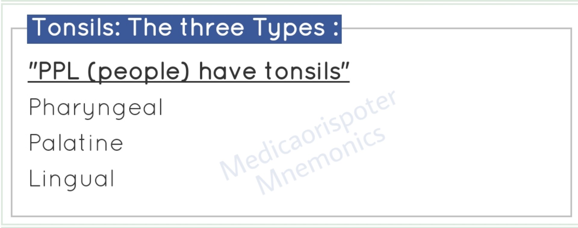 Types_of_Tonsils