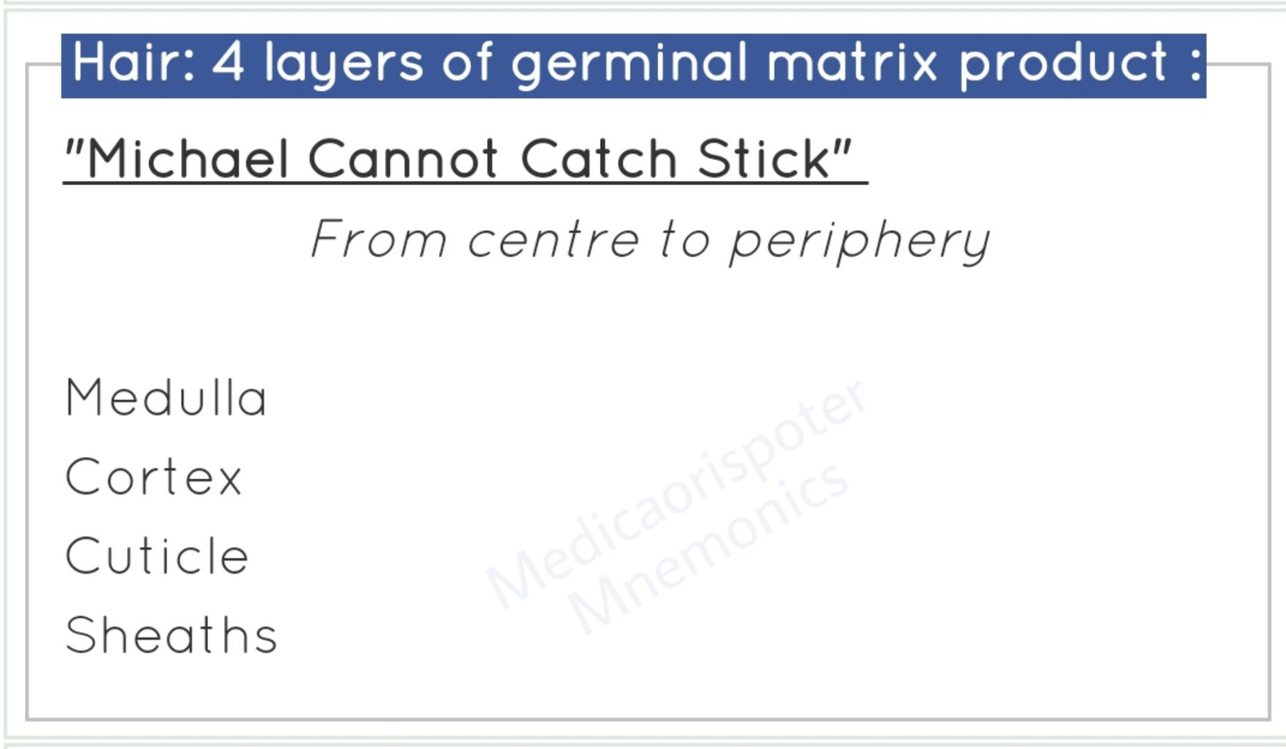4 layers of Germinal Matrix