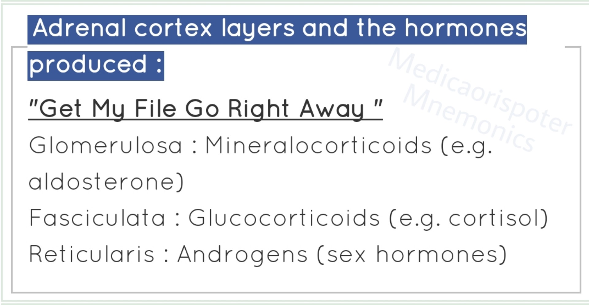 Adrenal Cortex Layers  Hormones Produced