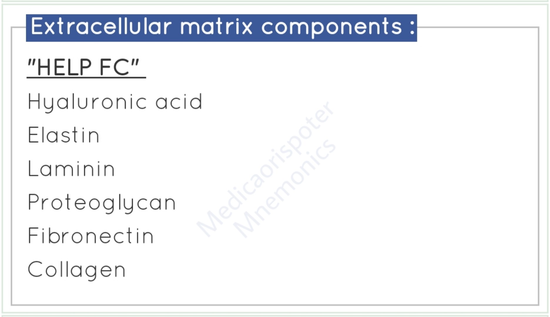 Components of Extracellular Matrix