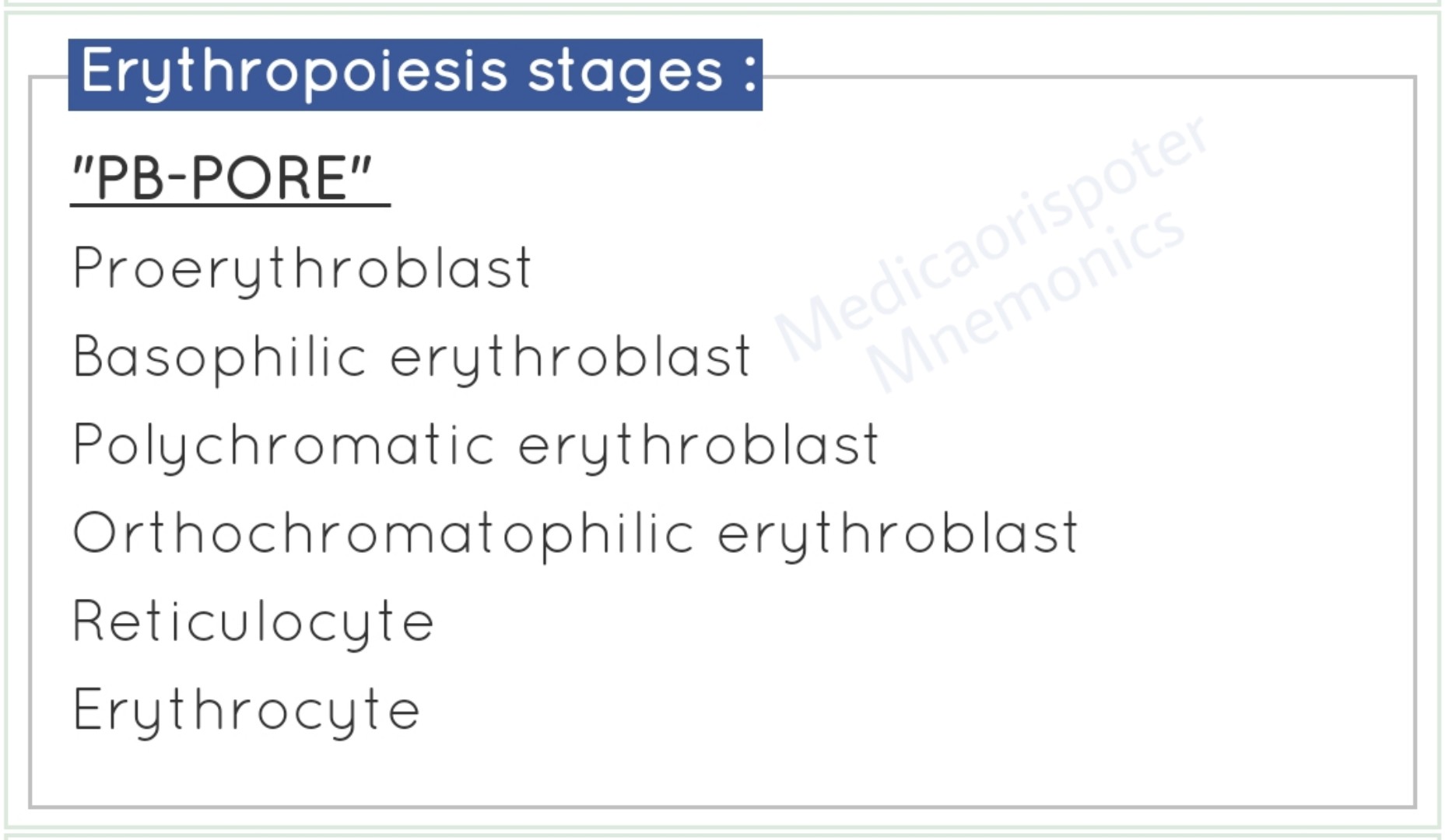 Erythropoiesis Stages 