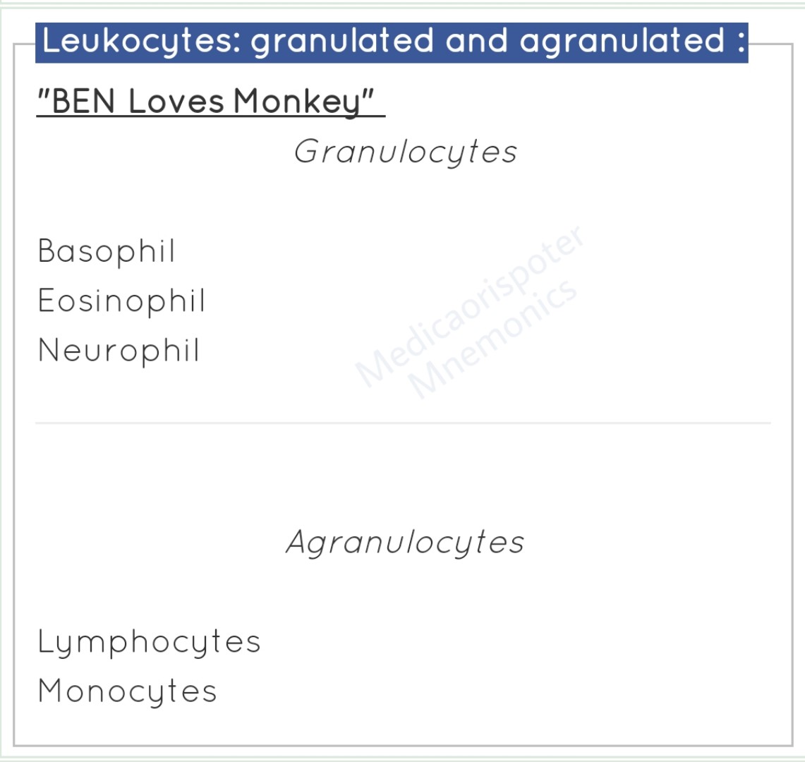 Leukocytes Granulated  Agranulated
