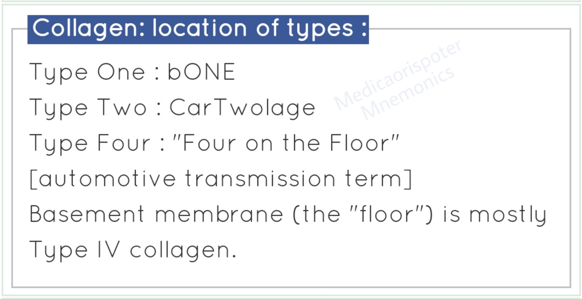 Locations of Collagen Types