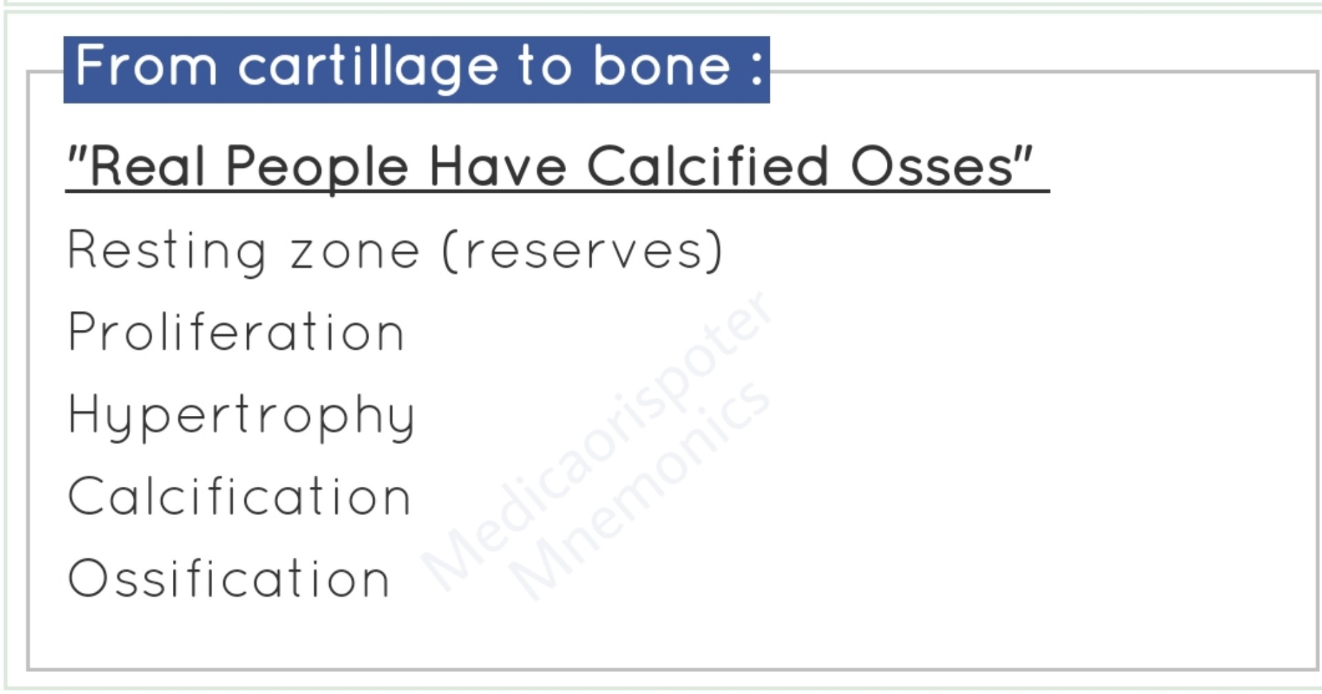 Ossification from Cartilage to Bone