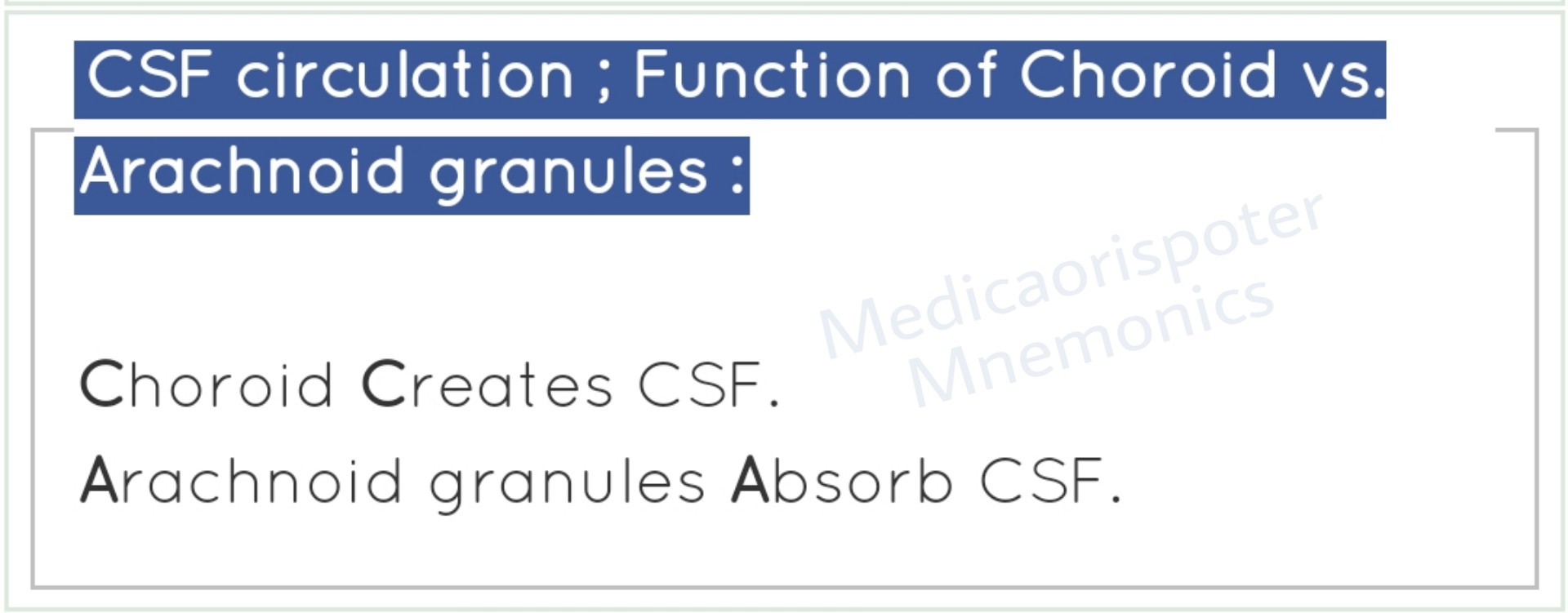 Functions of Choroid vs Arachnoid Granules in CSF