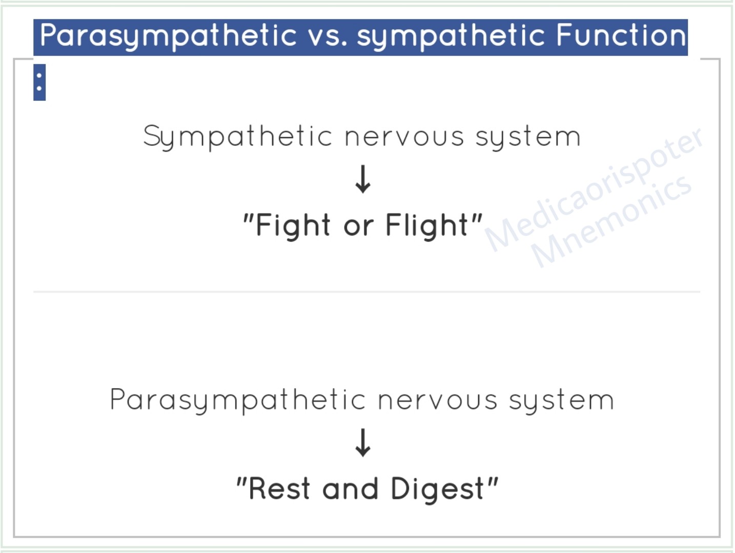 Functions of Sympathetic vs Parasympathetic