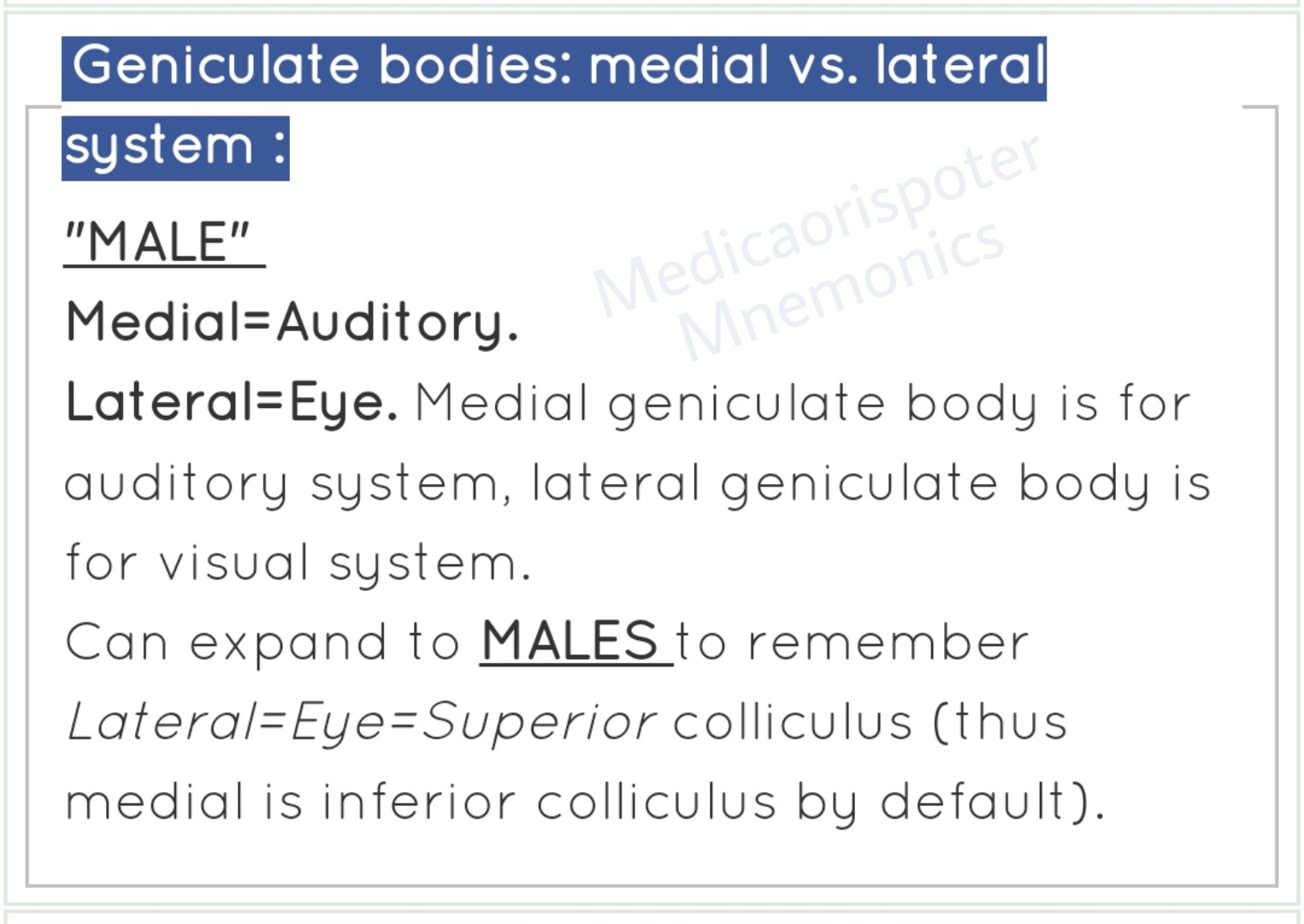 Geniculate Bodies Medial vs Lateral System