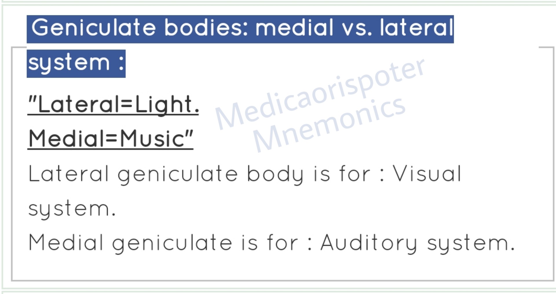 Geniculate Bodies Medial vs Lateral Systems