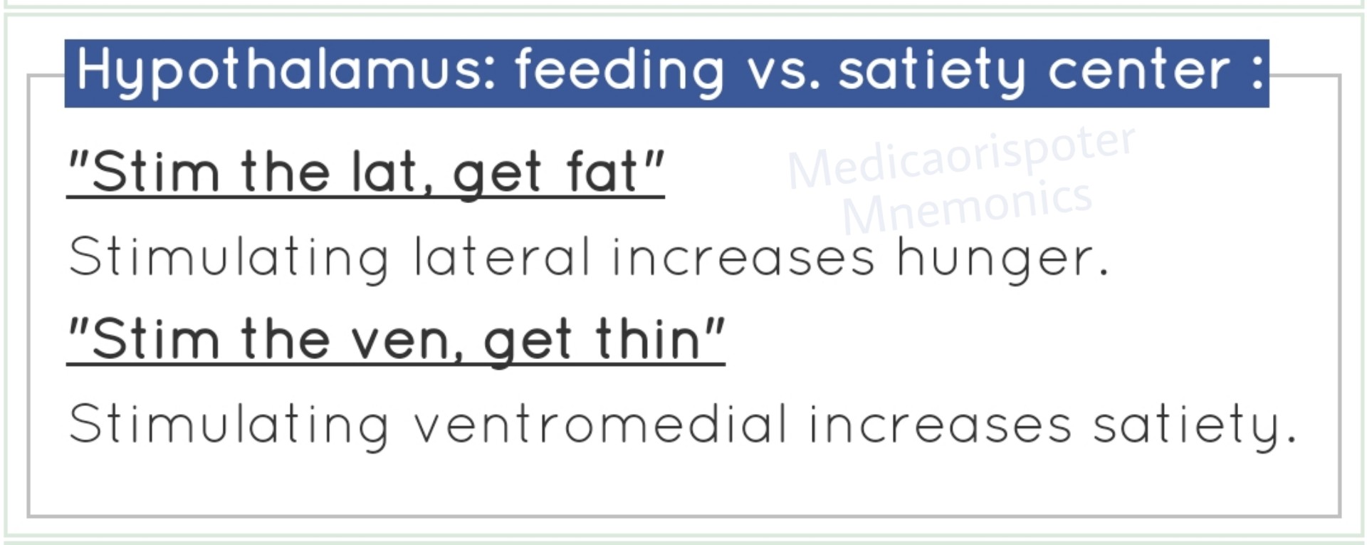 Hypothalamus Feeding vs Satiety Center