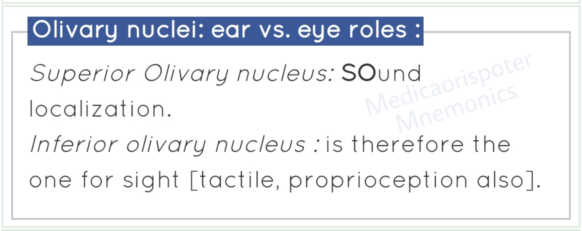 Olivary Nuclei Ear vs Eye Roles
