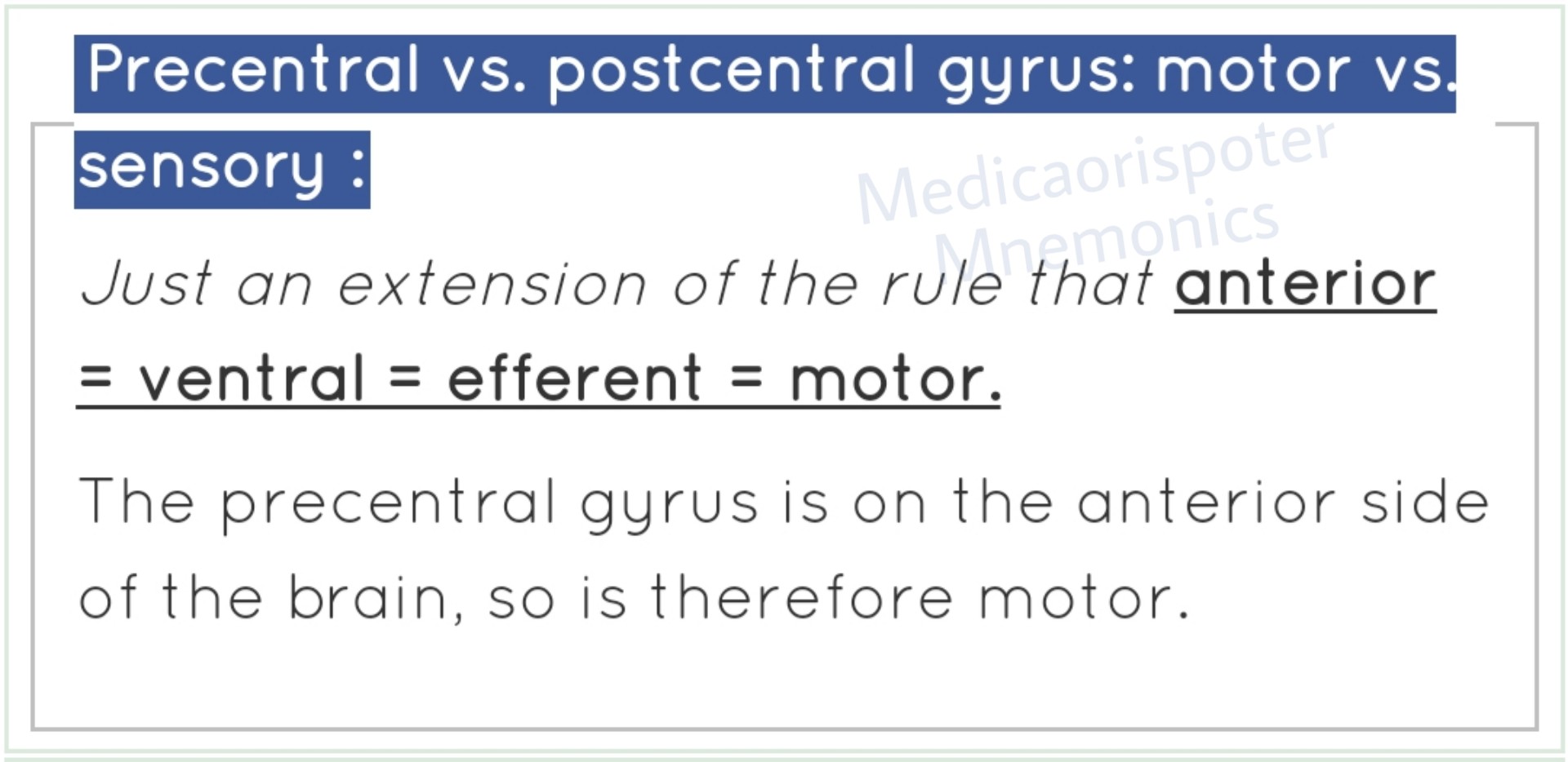 Precentral vs Postcentral Gyrus