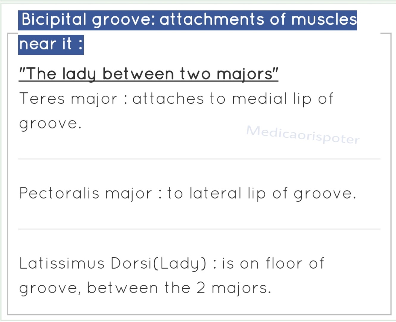 Bicepital groove Attachment of Muscles
