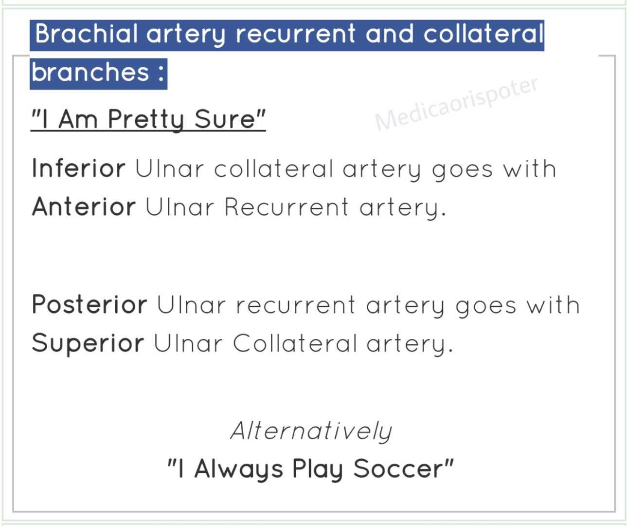Brachial Artery Recurrent and Collateral branches
