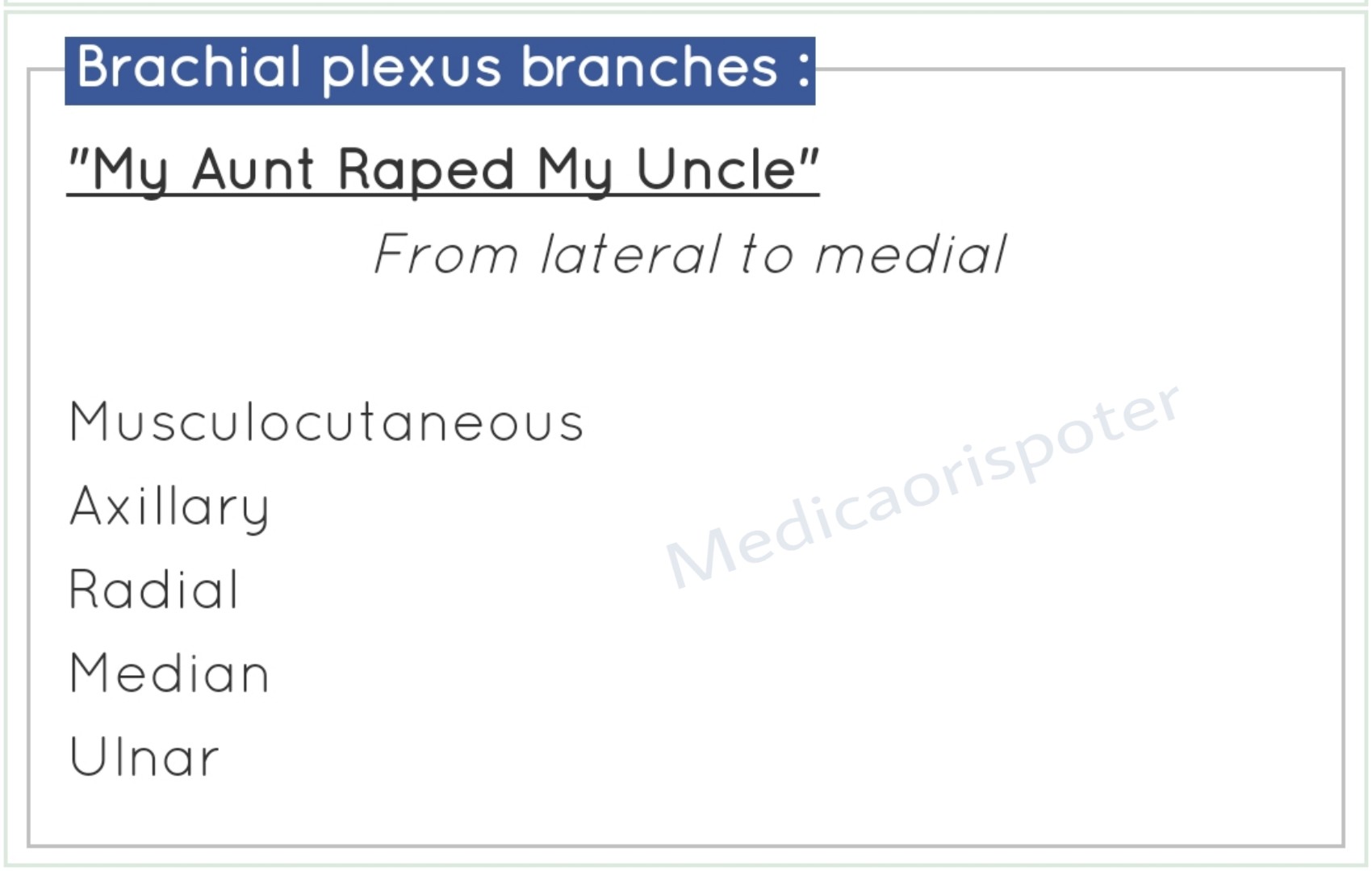 Brachial plexus Branches