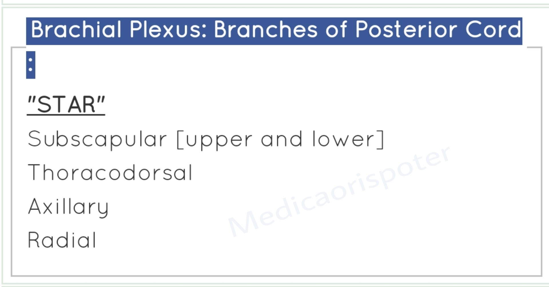 Brachial plexus Nerves of posterior cord