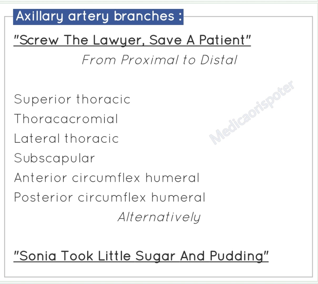 Branches of Axillary Artery