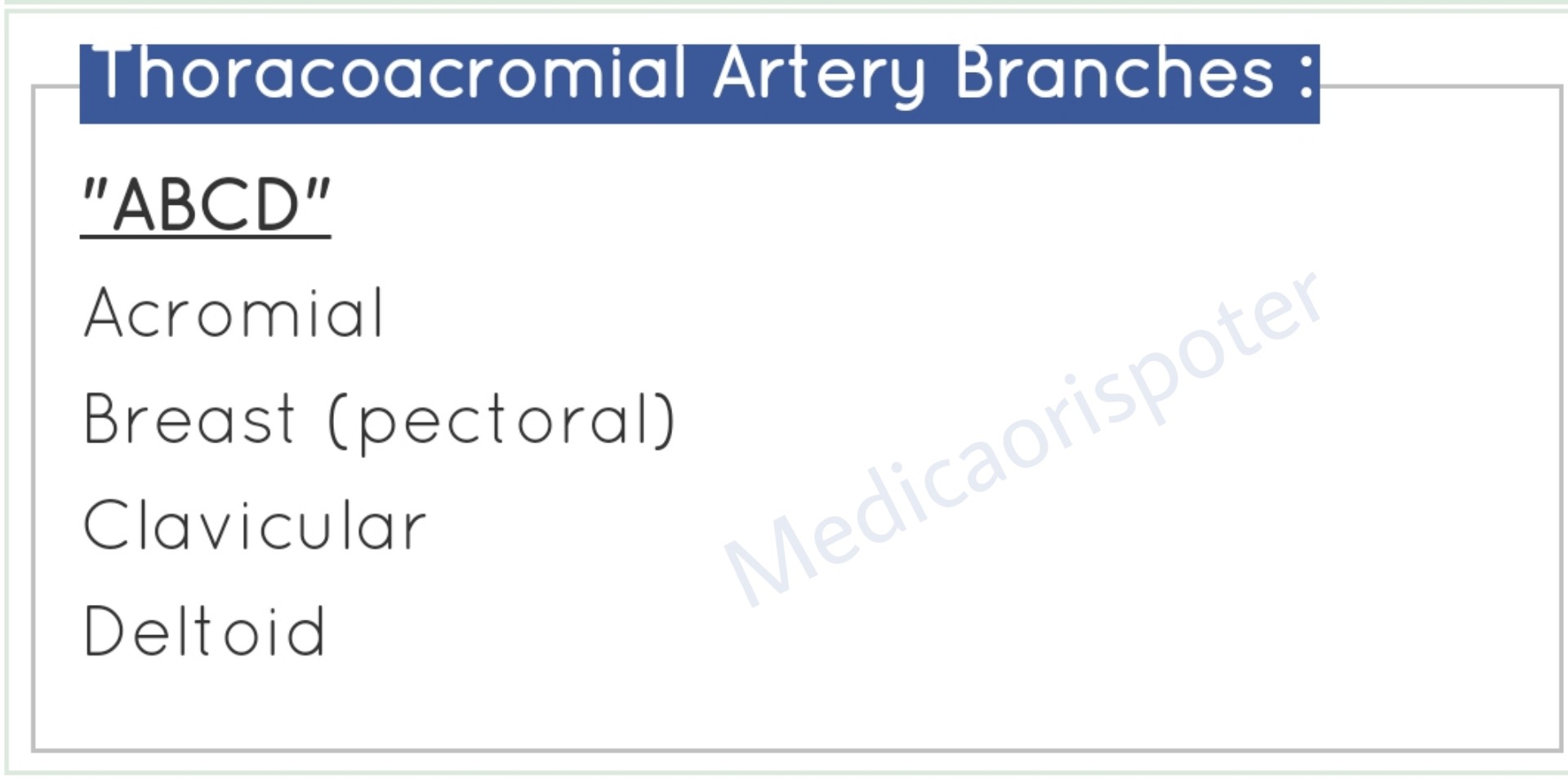 Branches of Thoracoacromial Artery