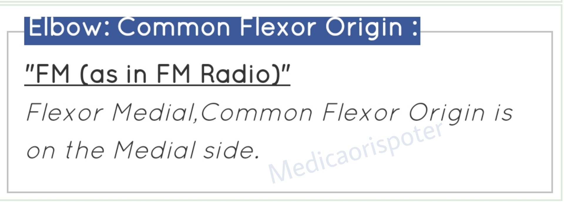 Common Flexor Origin at the Elbow