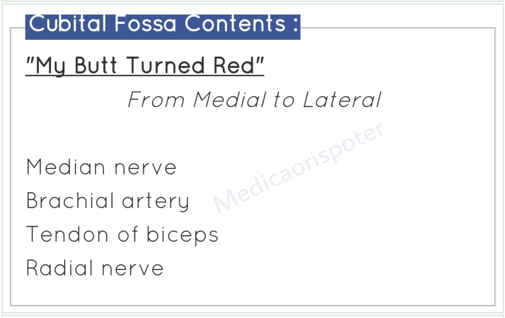 Contents of Cubital Fossa
