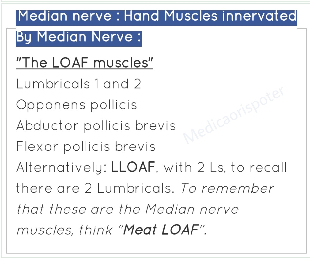 Hand Muscles innervated By Median Nerve