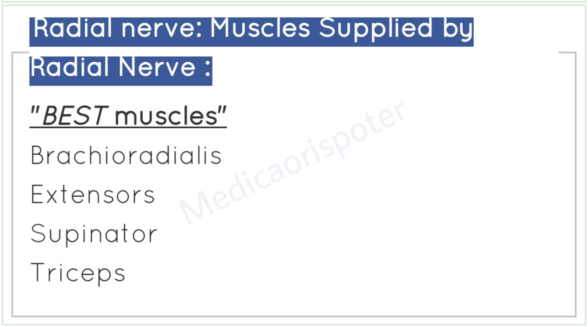Muscles Supplied by Radial Nerve