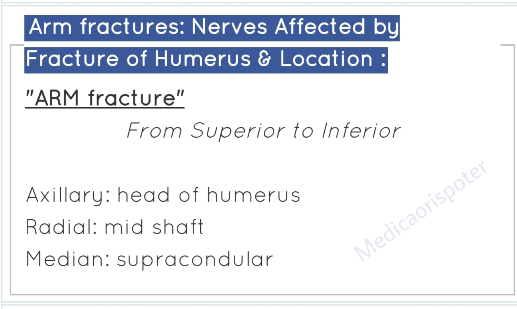 Nerves affected by fracture of Humerus