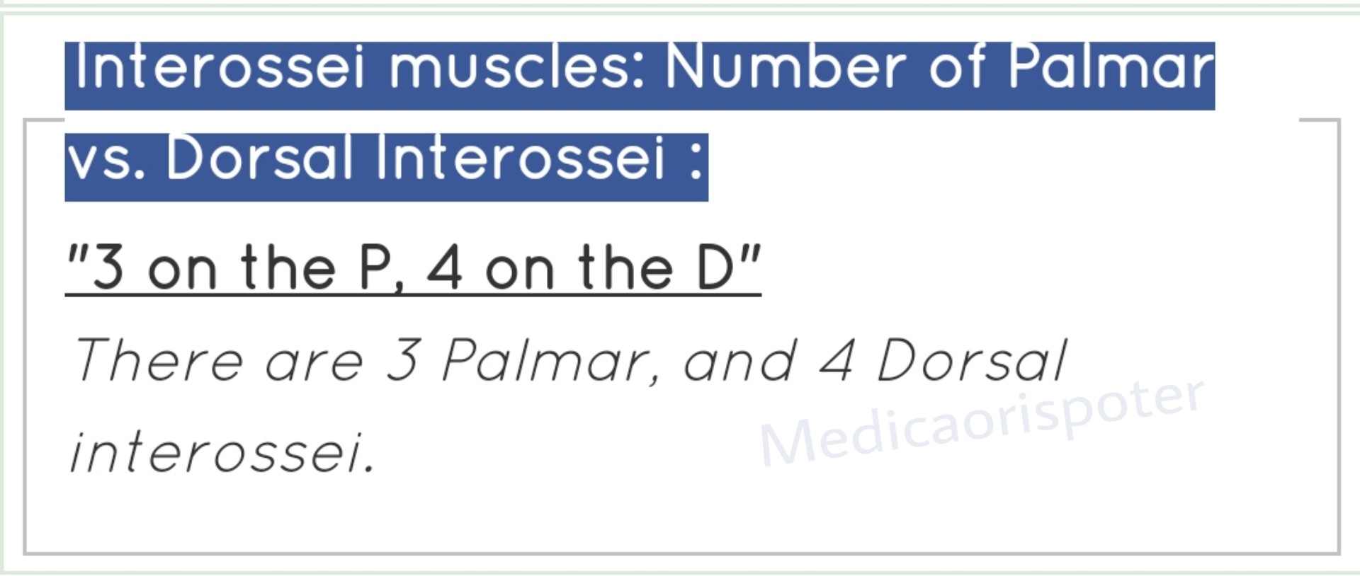 Number of Palmer vs Dorsal Interossie
