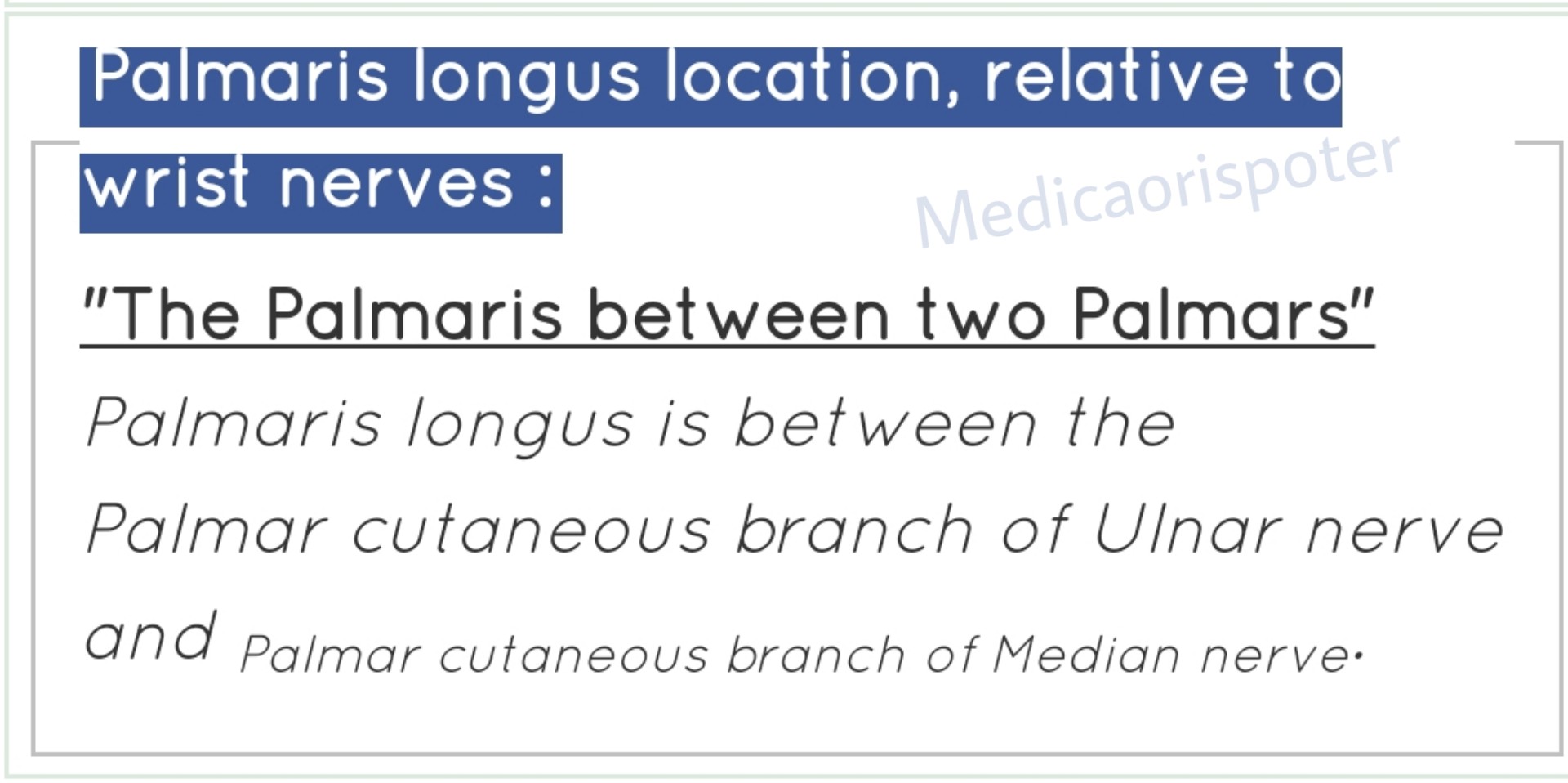 Palmaris Longus Location relative to Wrist
