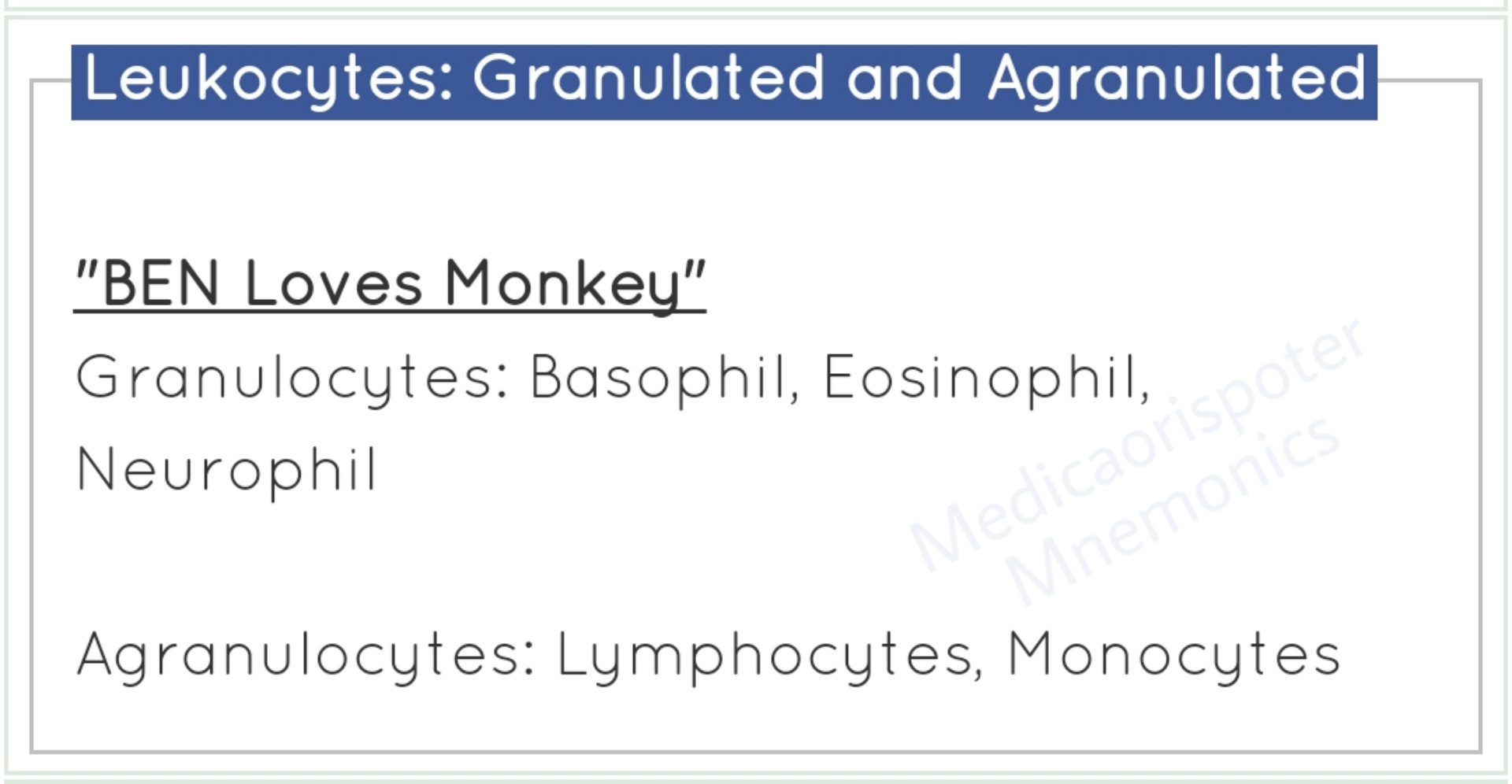 Granulated and Agranulated Leucocyte